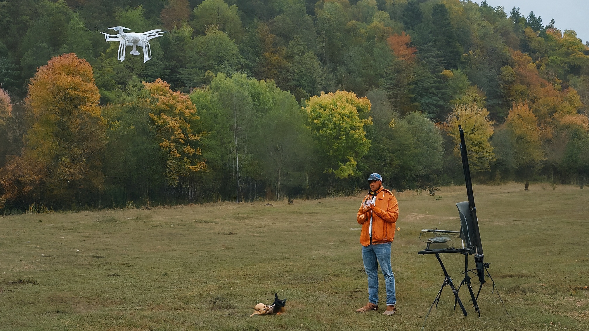 Drone wildlife survey