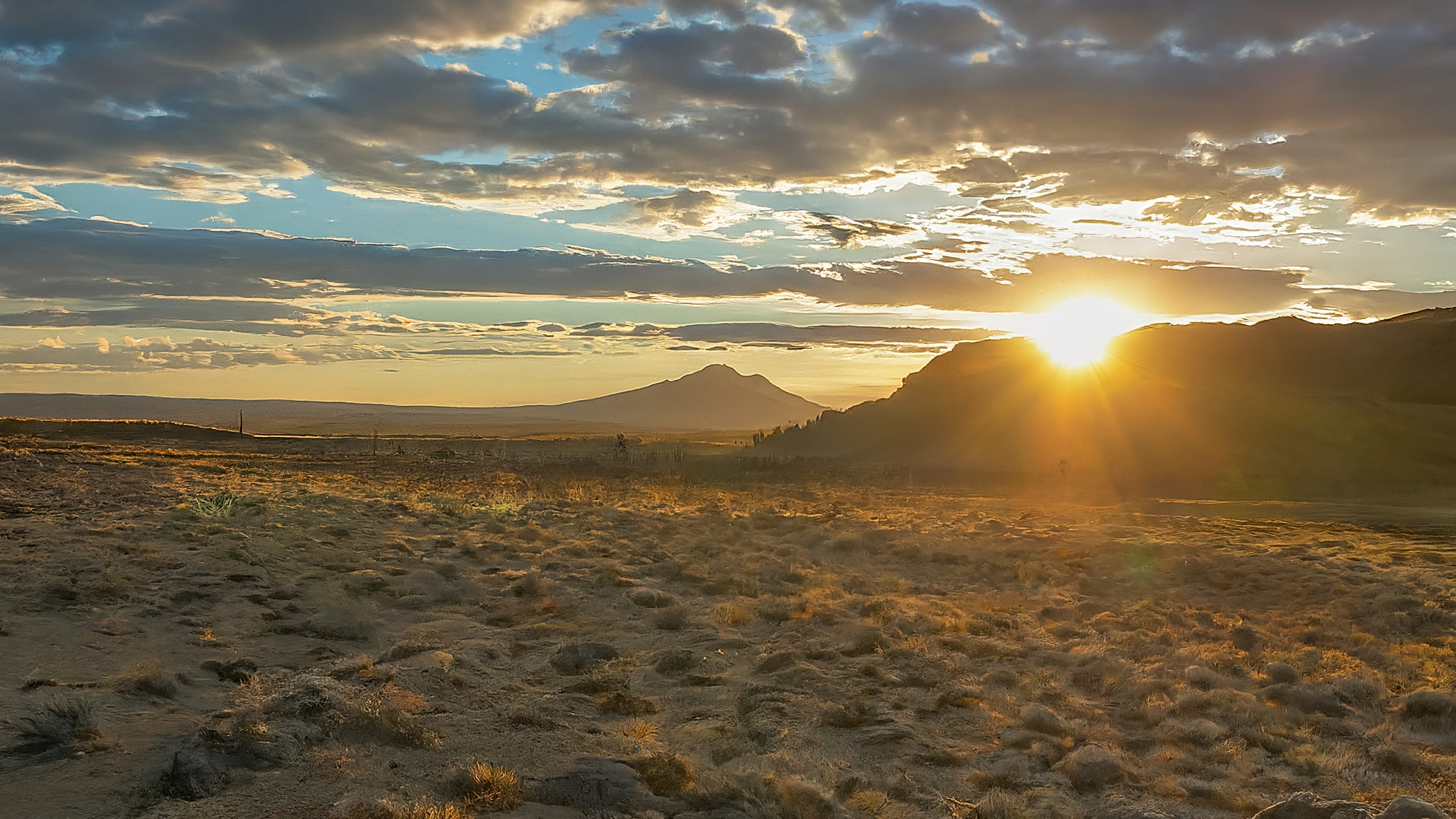 Automated population counting