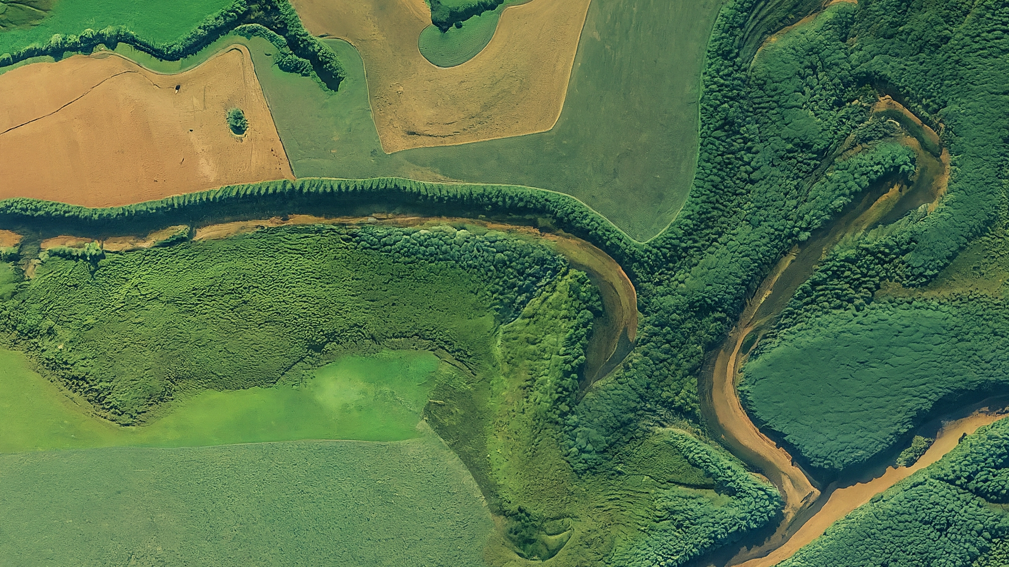 Satellite habitat analysis
